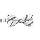 White Blue Striped Bowtie