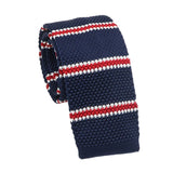 Navy Blue Red Striped Necktie