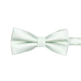 Mint Green Mint Green Striped Bowtie