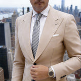 Silver With Black Striped Necktie