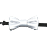 Silver Solid Solid Bowtie