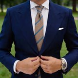 Tan With Blue Striped Dotted Necktie
