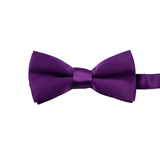 Dark Purple Bow Tie