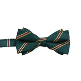 Green Brown Striped Bowtie