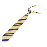 Gold Blue Striped Necktie