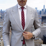 Red Necktie with Blue Paisley