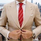 Red with White Diagonal Dashed Stripes Necktie
