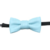 Sky Blue Solid Solid Bowtie