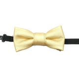 Gold Solid Solid Bowtie
