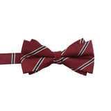 Burgundy Blue Striped Bowtie