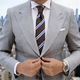Brown With Blue Striped Necktie