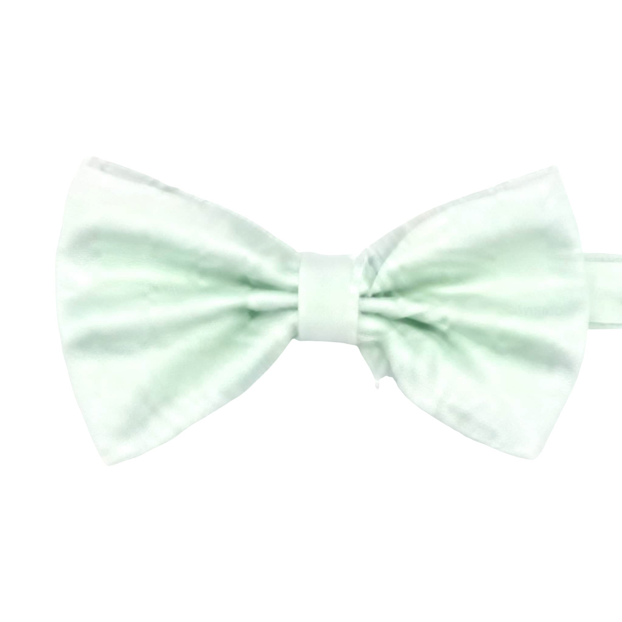 Pale Green Solid Solid Bowtie