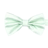Pale Green Solid Solid Bowtie