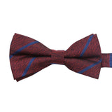 Burgundy Blue Striped Bowtie