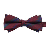 Burgundy Blue Striped Bowtie