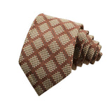 Brown Beige Checkered Necktie