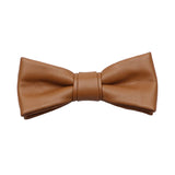 Brown Brown Solid Bowtie
