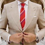 Red With White And Purple Striped Necktie