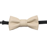 Beige Solid Solid Bowtie