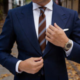 Brown With Blue Striped Necktie