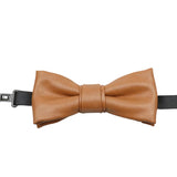 Brown Solid Bowtie