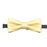 Olive Green Solid Bowtie