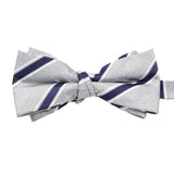 Silver Blue Striped Bowtie