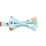 Aqua Brown Dog Bowtie