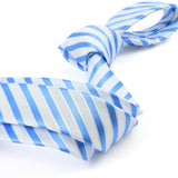 White and Blue Striped Necktie