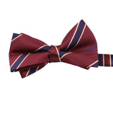 Burgundy Blue Striped Bowtie