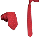Red DarkRed Paisley Necktie