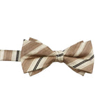 Beige Brown Striped Bowtie