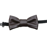Brown Brown Solid Bowtie