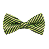 Rainbow Multicolor Striped Bowtie