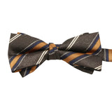 Brown Gold Striped Bowtie