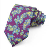 ZONFAZ Classic Paisley Silk Ties