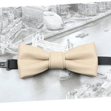 ZONFAZ Pu Leather Solid Color Bow Ties