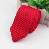 ZONFAZ Solid Color Skinny Knitted Ties